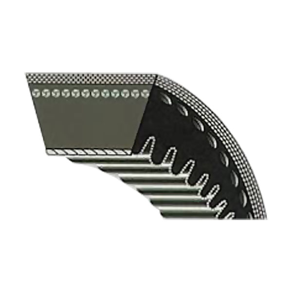 Correas trapezoidales